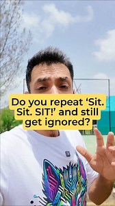 129 reactions · 3 comments |  Do you repeat ‘Sit. Sit. SIT!’ and...