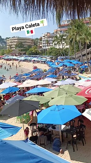 🌴🌴Desde Playa Caleta . 🇲🇽😁🕶️..#visitaacapulco #Acapulco #Paisanos #Caleta | El Acapulquito