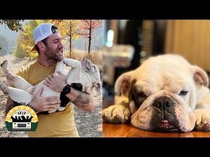 Big Tommy Boy Announcement | The Asher House