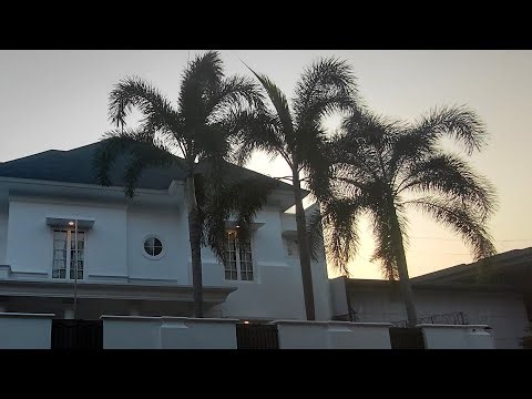 Wake Up Music For Energy, Focus And Morning Routines That Work