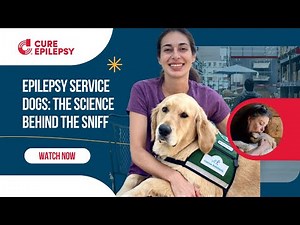 Epilepsy Service Dogs: The Science Behind the Sniff