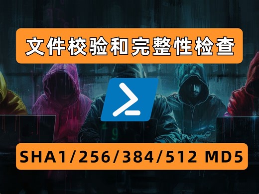 如何进行文件校验和完整性检查