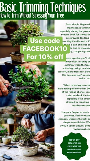 The essential #bonsai guide @top fans Grab your copy, link in the comments. | Bonsaibarn