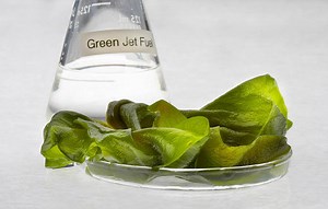 Algae Biofuel--What Happened After the Hype? | Chemistry And Physics