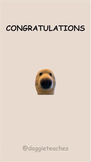 Doggie Explains How to Avoid the “D*ath Penalty” (Satire) Step one — water your plant like it’s pay-per-view: regular, not dramatic. 🐾🌱 Step two — sunlight schedule: not a tanning bed, not a cave. Find the sweet spot. Step three — repot before it cries for help. Fresh soil = new vibes. Bonus move? Whisper encouragements while pruning. Plants respond to vibes. Because the real crime would be letting your ficus go gently into the night. #dogs #satire #plantcare #doggieteaches 🐶🌿 (Satire) | Dog