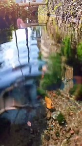 The irrigation canal is so beautiful 😮🇯🇵 Nagasaki, Japan 🇯🇵 | Life In Japan 日本の生活