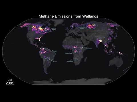 Methane Emissions from Wetlands