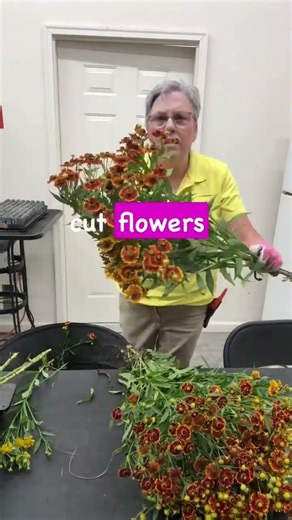 Comment CLUB to join and see details- Membership closes 12midnight tonight