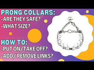 Are Herm Sprenger Prong collars safe? What Size? How to put on/take off? How To add & remove links?