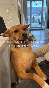 How I deliver your kitchen on time Every step matters: from cleaning the stone, taking measurements, fabricating, to delivering it with a smile. All to make sure your kitchen is ready when you need it! #kitchendesign #homerenovation #quartzcountertops #interiordesign #granitecountertops #countertops #britishcolumbia #luxurydesign #homeimprovement #customcountertops #granitestone #quartzstone #quartz #granite #dreamkitchens #kutchenremodel #kitchenrenovation #kitcheninspiration #architecture #oka