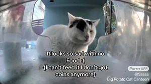 Someone did feed it later on!’ ❤️ #purrrr @Purrrr_APP