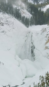 3.6K views · 782 reactions | Discover the stunning landscapes of @yellowstonenps– where the best moments unfold off the beaten path. Whether it’s the vibrant hues of fall or winter’s beauty, every season offers a unique experience here.⁠ ⁠ #visitjacksonhole #visitwyoming #staywild #yellowstonenationalpark | Visit Jackson Hole | Facebook