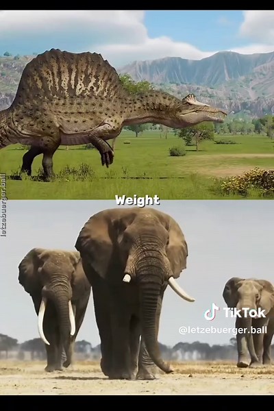Elephant vs Spinosaurus: A Unique Animal Debate