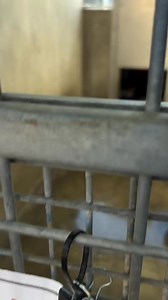 16K views · 852 reactions | On Mondays (well. this Monday at least)...