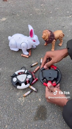 Remote Control Rc Rabbit 🐇 & Rc Lion 🦁 Unboxing