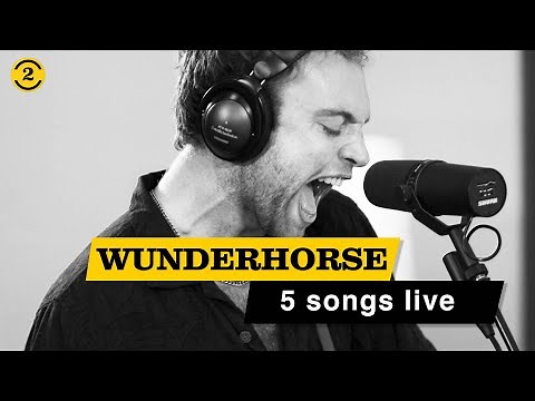 WUNDERHORSE - Live in 2024 | TEAL, LEADER OF THE PACK. MIDAS on 2 Meter Sessions