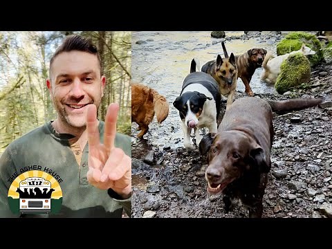 The Future Of The Asher House Sanctuary