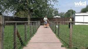 BOY HAVE I GOT SOMETHING FOR YOU GUYS! 🔥How does 98% discount sound? Read on... These clients came to see me after already spending over £900 on training with very little success in dealing with their dogs reactivity. 3 hours later, with commitment from them and easy, straight forward, proven dog training instruction from me, we got the results they do badly needed. I've always said or mission is to help as many people and dogs around the world as possible. It's part of my commitment earlier in