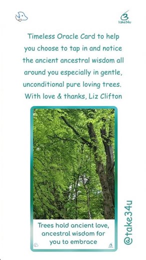 Your Timeless Daily Oracle Card #shorts #wisdom #oracle #oraclecardreading #oraclecard #intuition 🌳