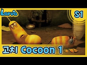 LARVA S01 | 라바 시즌 1 | Episode | 018_고치1(Cocoon 1) | 케이블 TV_VOD