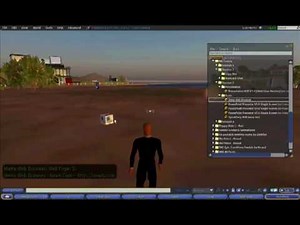 Shows how to use and edit a Second Life web browser