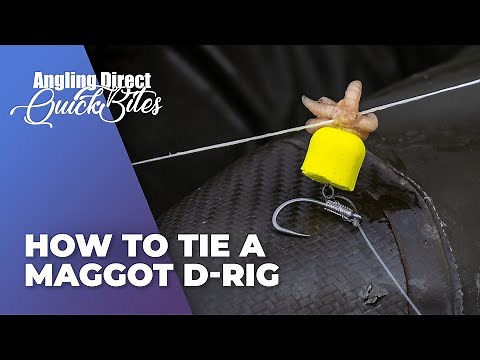 Comment Attacher un Montage-D Asticot - Quickbite de Pêche à la Carpe