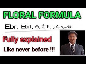 Floral Formula