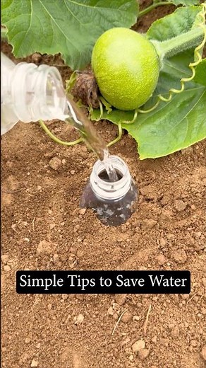 Simple Tips for Water Conservation During Drought #farmingtech