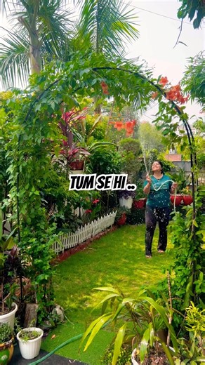 ⛱️ summer 🏝️ season garden work #morning #garden#plants #flowers #gardening