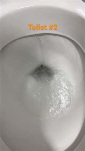 February 7, 2026 - Toilet #2 - Universal-Rundle