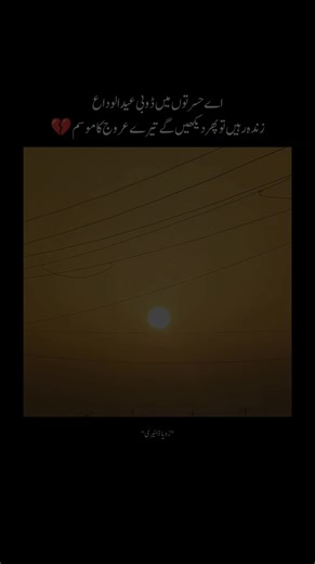 Zoya Line's Latest Collection