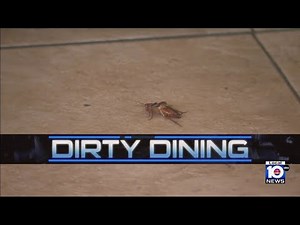 3 South Florida restaurants shut down over startling conditions