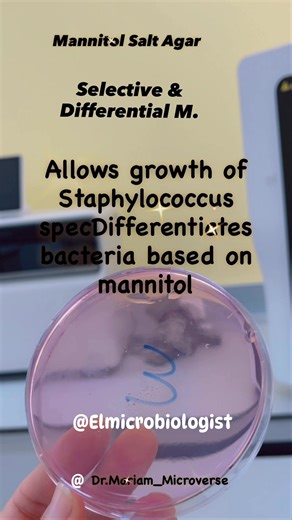 6.9K views · 79 reactions | Culture media Blood agar, mannitol salt agar, MacConkey agar, XLD, Sabauroud Dextrose agar) @Mariam_Microverse #Elmicrobiologist | Elmicrobiologist | Facebook