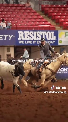 Master Team Roping Techniques