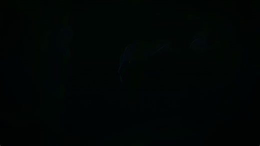 💩这一张下去会很疯狂💩