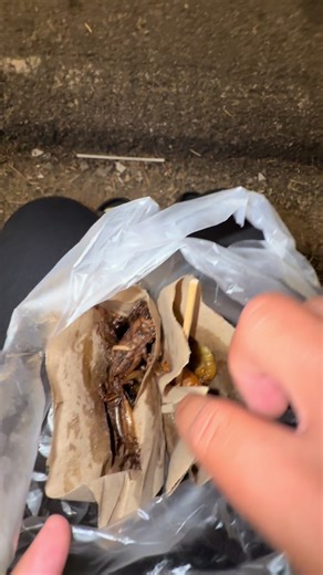 Trying Unique Foods: Cricket Taste Test