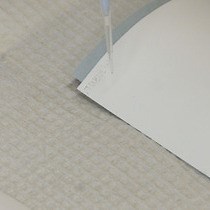 Video: Selection-dependent and Independent Generation of CRISPR/Cas9-mediated Gene Knockouts in Mammalian Cells