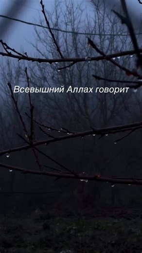 ‎صبر‎ on Instagram: "🥹日本利用压电瓷砖将步行转化为电能。这些瓷砖通过压电效应将脚步施加的压力转化为电能。当人们行走时，脚的重量和动作会对瓷砖产生压力，使内部的压电材料弯曲并产生机械应力，进而转化为电能。通过收集数百万次的脚步，产生的电能可以驱动LED 灯、数字显示屏和传感器等设备。涩谷车站每天约有240万次脚步贡献于这一系统，从而减少对传统能源的依赖，支持可持续城市发展。工作原理：压电瓷砖包含压电材料，当外部压力施加在瓷砖上时，这些材料会弯曲产生机械应力，并将这种应力转化为电能。能量收集：每一步产生的电荷量虽然少，但通过数百万步的累积，可以生成可观的电力。应用场景：在人流量大的区域，如涩谷车站，每天约有240万次脚步，为该系统提供了巨大的能源潜力。能量用途：收集到的电能可以用于驱动各种设备，例如 LED 灯、数字显示屏和传感器。优势：这种技术将日常运动转化为可再生能源，有助于减少对传统能源的依赖，并支持可持续城市基础设施的建设。"