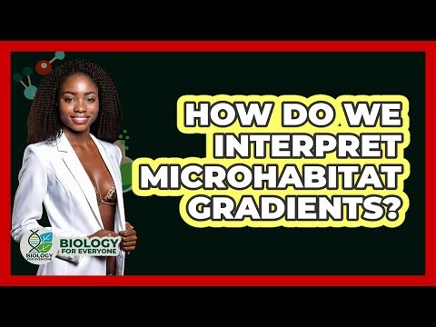 How Do We Interpret Microhabitat Gradients? - Biology For Everyone