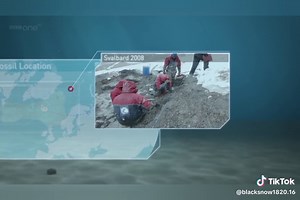 #фильмы #история #врек #эволюция #природа #животные