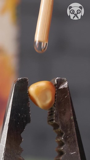 See How Popcorn Pops | Bored Panda