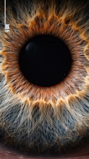 The Science Behind Eye Color