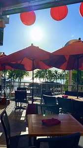 Just another day in paradise 🌺 From our 2nd floor lanai, the breeze is cool, the view is unreal, and the vibes are exactly what you came to Waikiki for. 🌊☀️ Whether you're here for a sunset dinner, a lazy lunch, or just soaking in the aloha spirit—this is the spot. 📍Tiki’s Grill & Bar | Waikiki 🎥 Come for the food, stay for the view. | Tiki's Grill & Bar