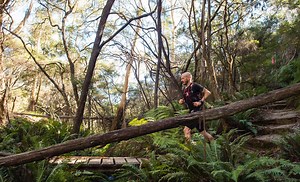 Training Plans - The Body Mechanic