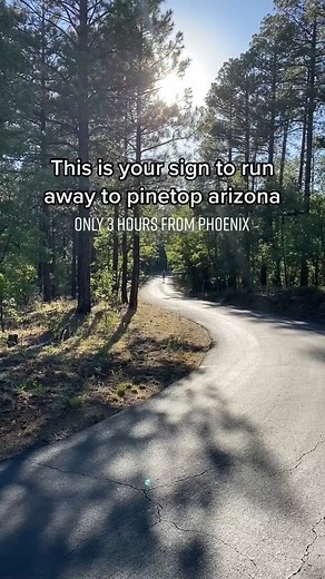 Craving a little getaway? How about making a trip to Pinetop! Pinetop is the perfect destination for a break from your daily routine and to get in touch with nature. Home to the world’s largest ponderosa pines - it’s truly something you have to see in person. Pinetop has 65 lakes and over 200 miles of trails to explore! Make sure you hit the follow button for more adventure inspo #pinetop #pinetoplakeside #whitemountainsaz #ponderosapinea #getaway #leavenotrace | Wildjoy | Facebook