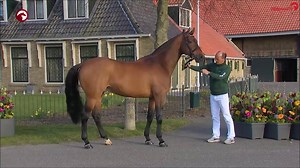 3.4K views · 146 reactions | Baltic - new generation of proven...