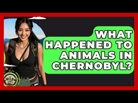 What Happened To Animals In Chernobyl? - The Wild Life Explorer