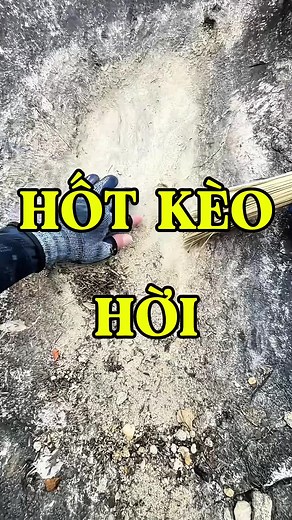 Đãi Vàng Trúng Ổ Lớn - Vàng Ngoài Trời