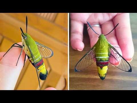 The Best 10 Creatures You’ve Never Seen Before! 😱