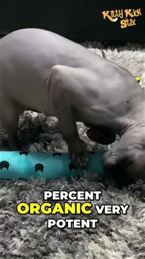Amazing Cat Kicker Toys! 😼 Handmade & Organic!